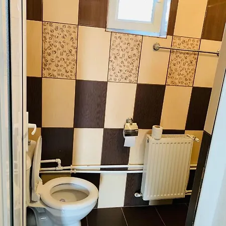 Pensiunea Valu Guest house *