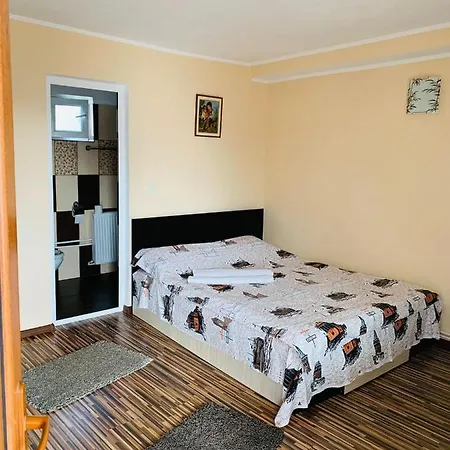 Guest house Pensiunea Valu