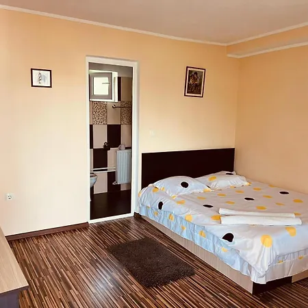Pensiunea Valu Guest house