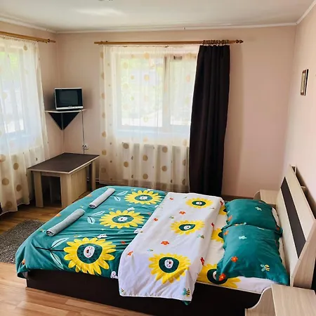 Guest house Pensiunea Valu