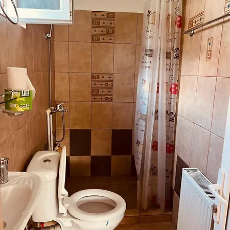 Pensiunea Valu Guest house *